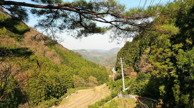 f:id:boianuf:20150513130301j:image