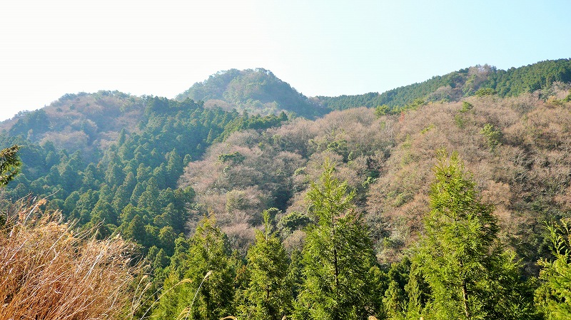 f:id:boianuf:20150513130303j:image