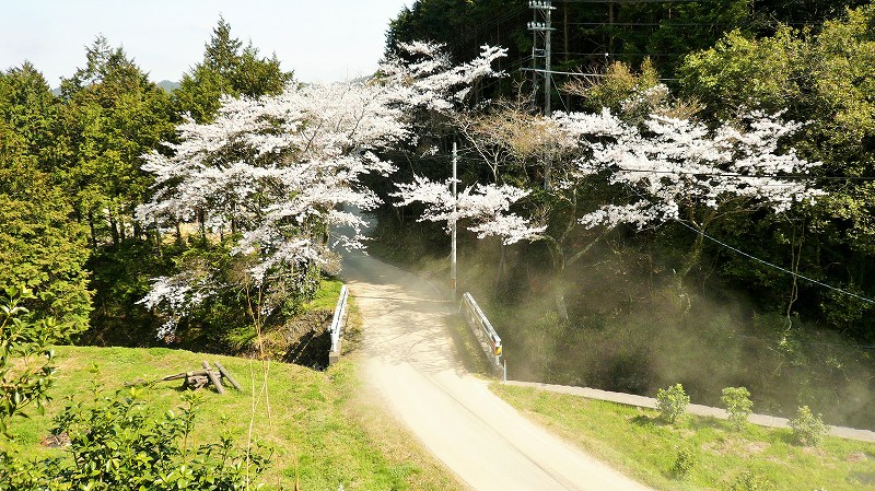 f:id:boianuf:20150513130437j:image