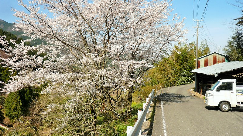 f:id:boianuf:20150513130442j:image