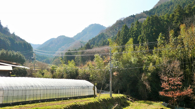 f:id:boianuf:20150513130444j:image