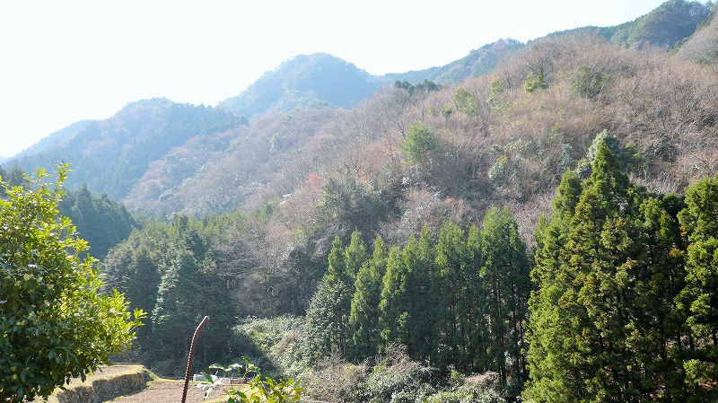 f:id:boianuf:20150513130446j:image