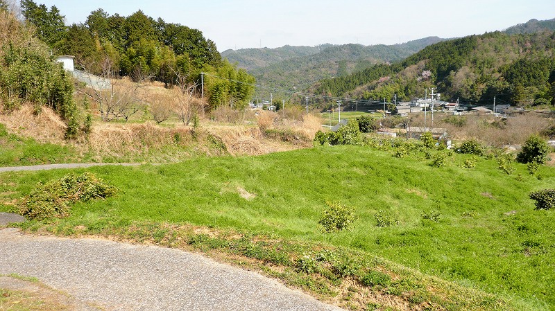 f:id:boianuf:20150513130900j:image