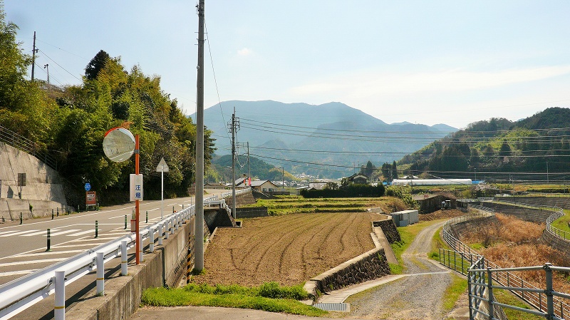 f:id:boianuf:20150513131017j:image