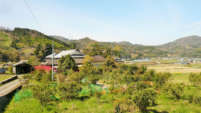 f:id:boianuf:20150513131022j:image