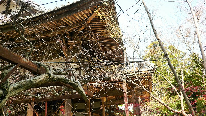 f:id:boianuf:20150513131132j:image