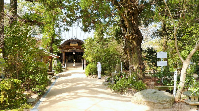 f:id:boianuf:20150513131138j:image