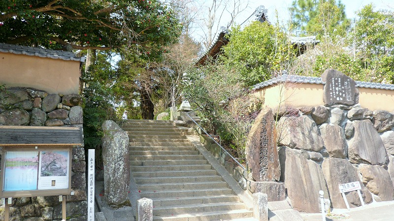 f:id:boianuf:20150513131139j:image
