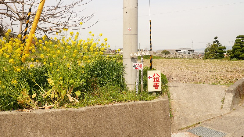 f:id:boianuf:20150513131337j:image