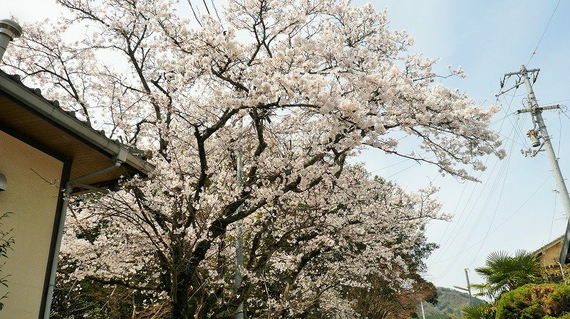 f:id:boianuf:20150513131338j:image