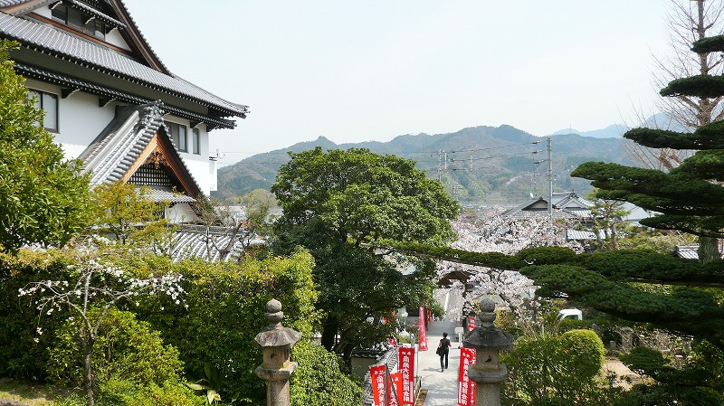 f:id:boianuf:20150513131512j:image