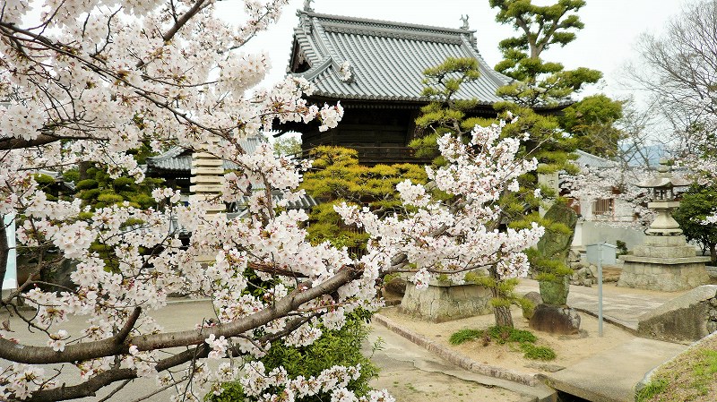 f:id:boianuf:20150513132051j:image