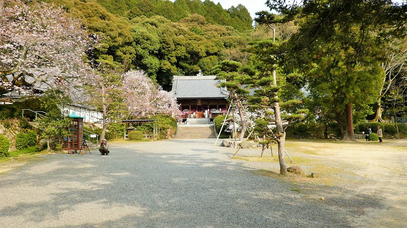 f:id:boianuf:20150513132459j:image