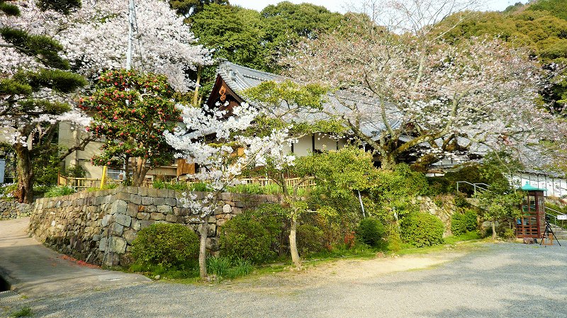 f:id:boianuf:20150513132500j:image