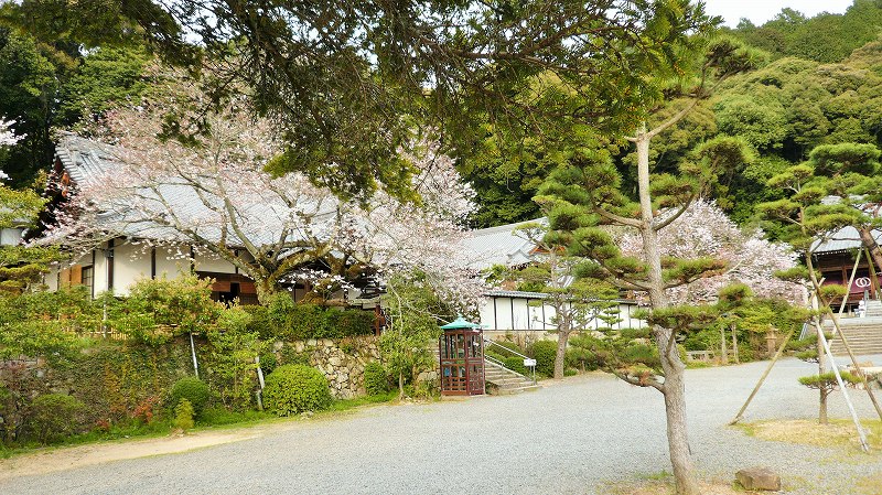 f:id:boianuf:20150513132751j:image