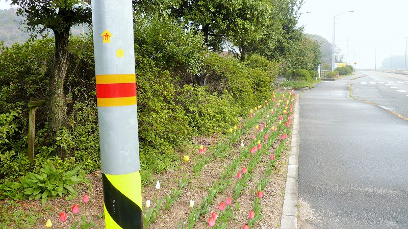 f:id:boianuf:20150515152405j:image