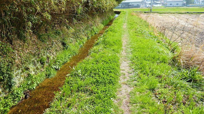 f:id:boianuf:20150515153205j:image