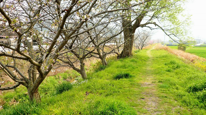 f:id:boianuf:20150515153208j:image