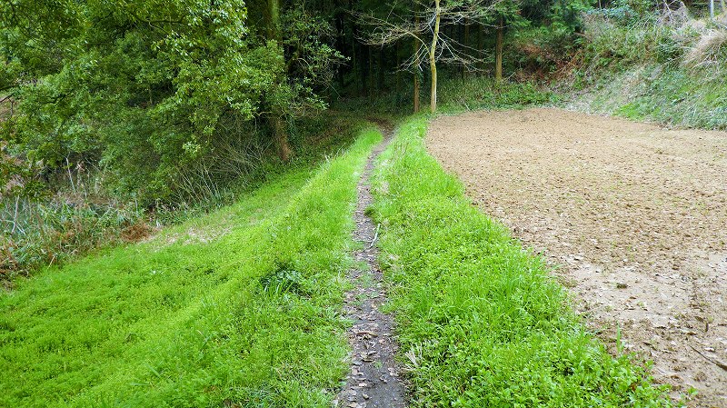 f:id:boianuf:20150515153347j:image