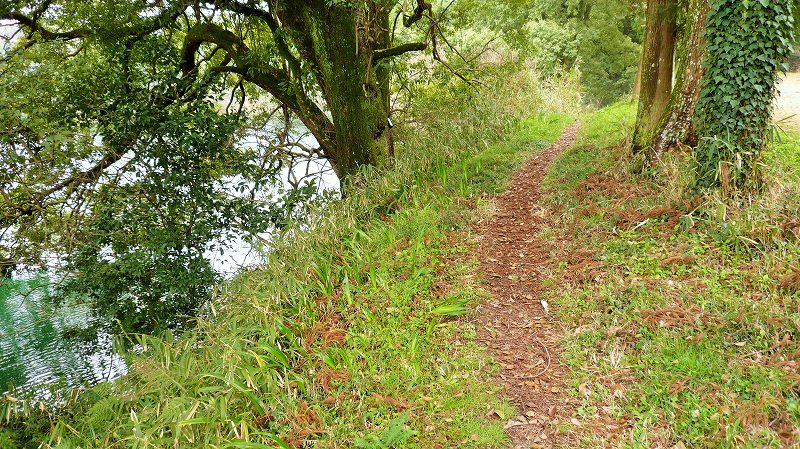 f:id:boianuf:20150515153348j:image