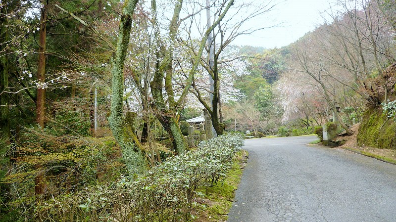 f:id:boianuf:20150515153509j:image