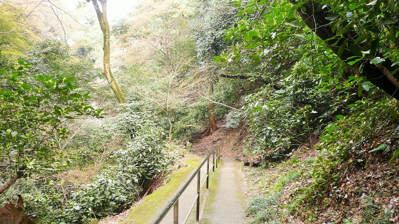 f:id:boianuf:20150515153641j:image