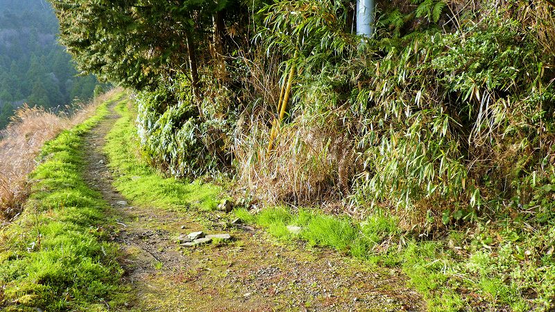 f:id:boianuf:20150519221710j:image