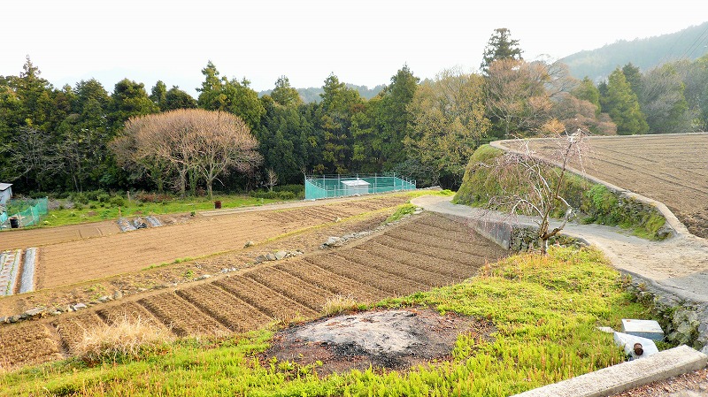 f:id:boianuf:20150519221713j:image