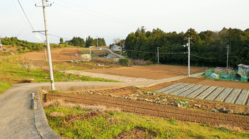 f:id:boianuf:20150519221714j:image