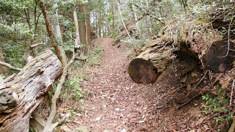 f:id:boianuf:20150519221820j:image