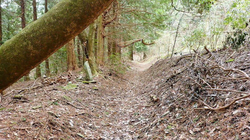 f:id:boianuf:20150519221821j:image