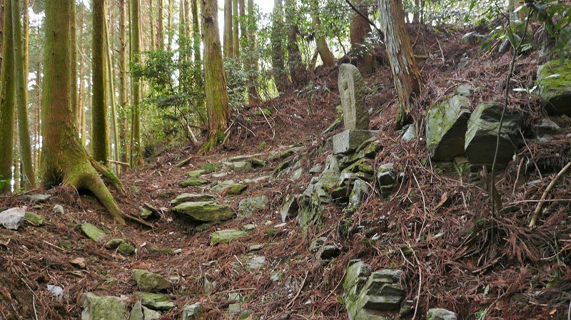 f:id:boianuf:20150519221824j:image