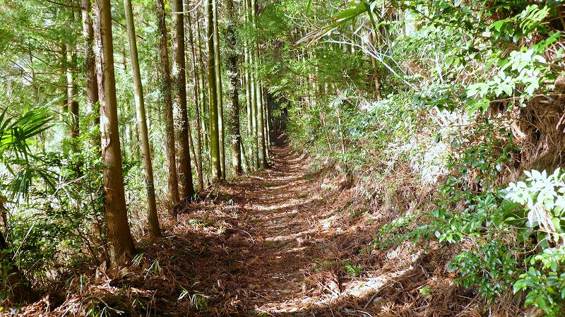 f:id:boianuf:20150519221826j:image