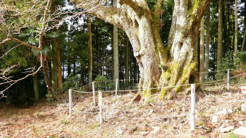 f:id:boianuf:20150519221927j:image