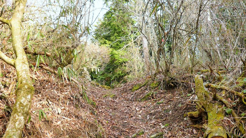 f:id:boianuf:20150519221928j:image