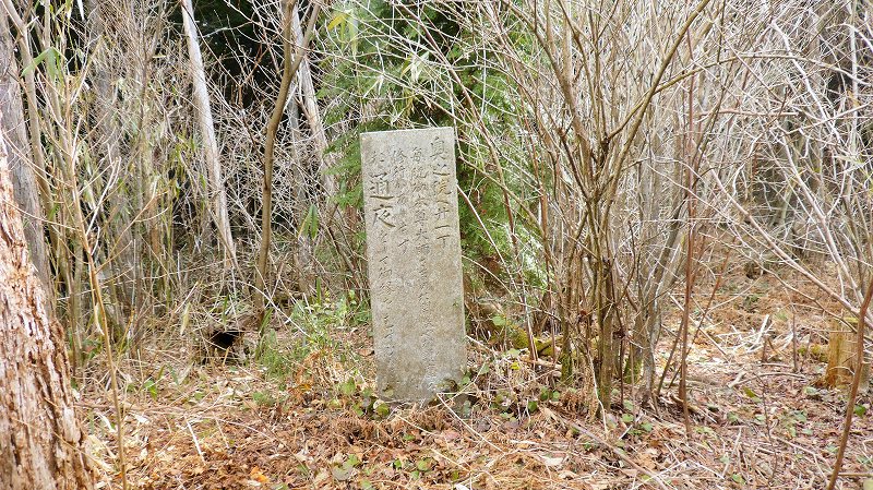 f:id:boianuf:20150519221929j:image