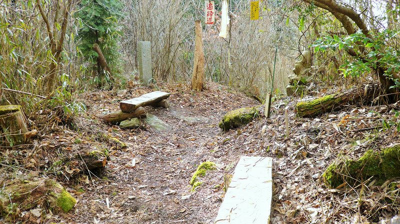 f:id:boianuf:20150519221932j:image