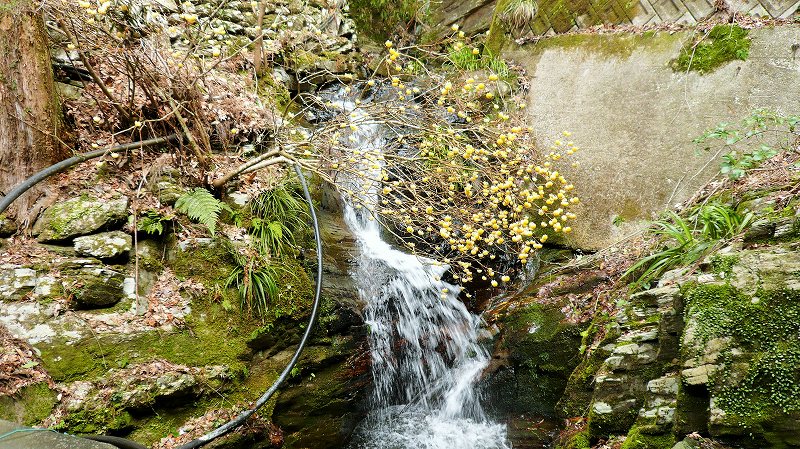 f:id:boianuf:20150519222101j:image