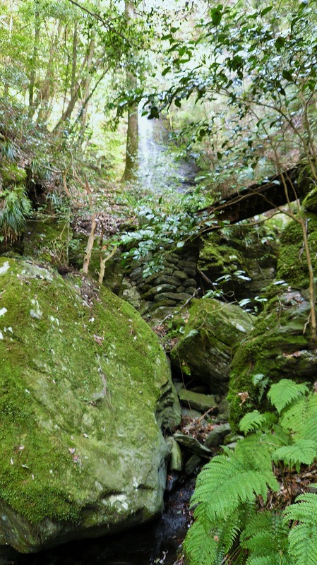 f:id:boianuf:20150519222105j:image