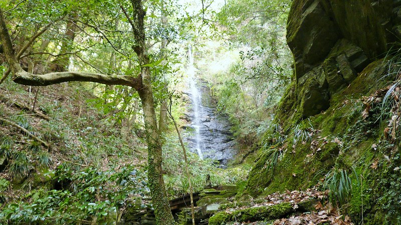 f:id:boianuf:20150519222107j:image