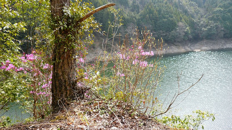 f:id:boianuf:20150519222457j:image