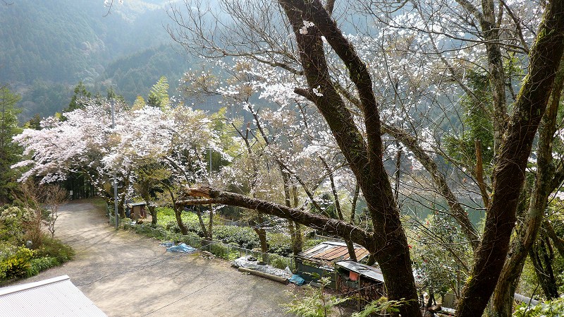 f:id:boianuf:20150519222458j:image