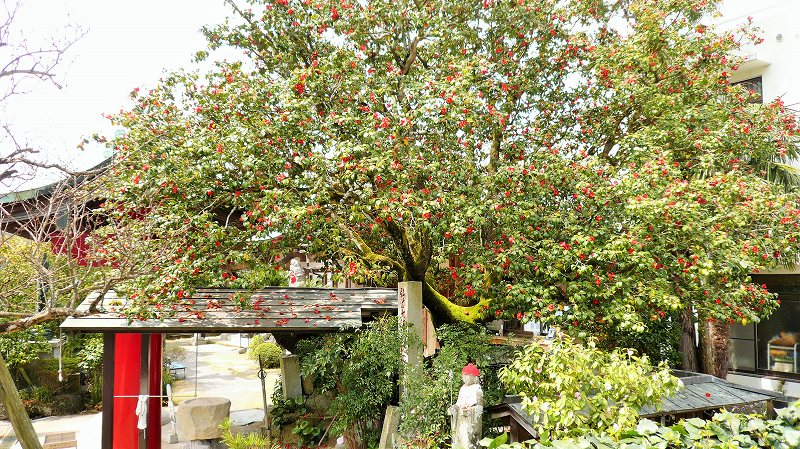 f:id:boianuf:20150519222857j:image