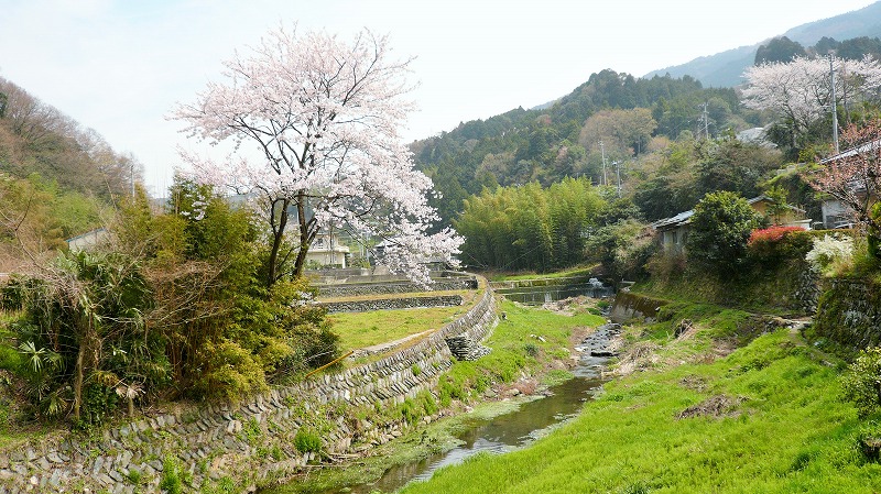 f:id:boianuf:20150519223008j:image