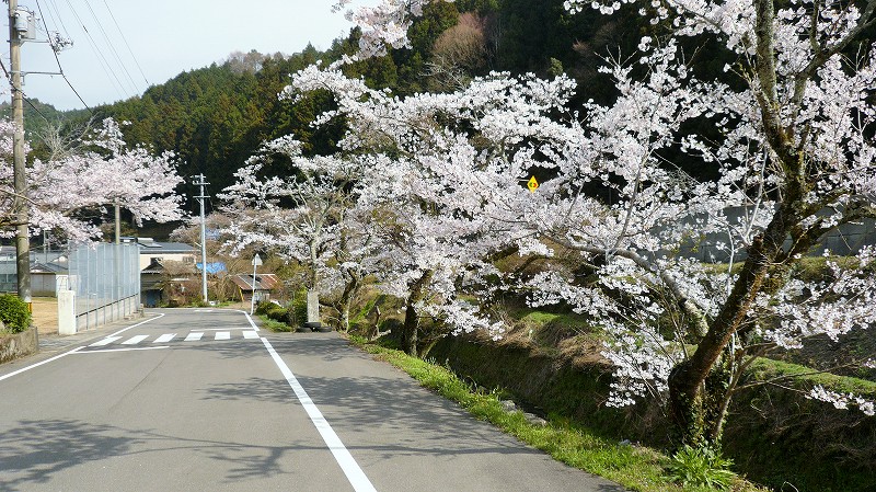 f:id:boianuf:20150519223422j:image