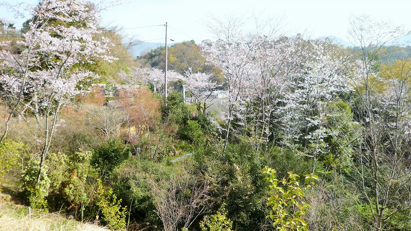 f:id:boianuf:20150525102300j:image