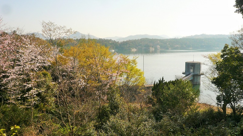 f:id:boianuf:20150525102301j:image