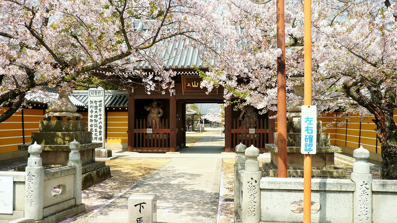 f:id:boianuf:20150525102937j:image