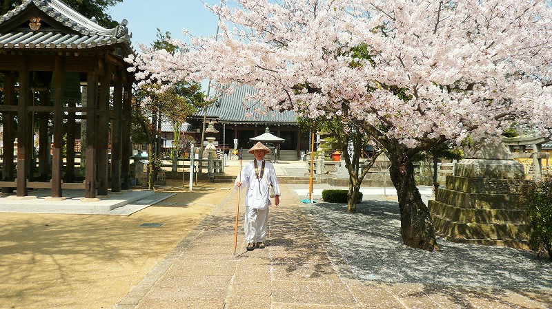 f:id:boianuf:20150525103101j:image