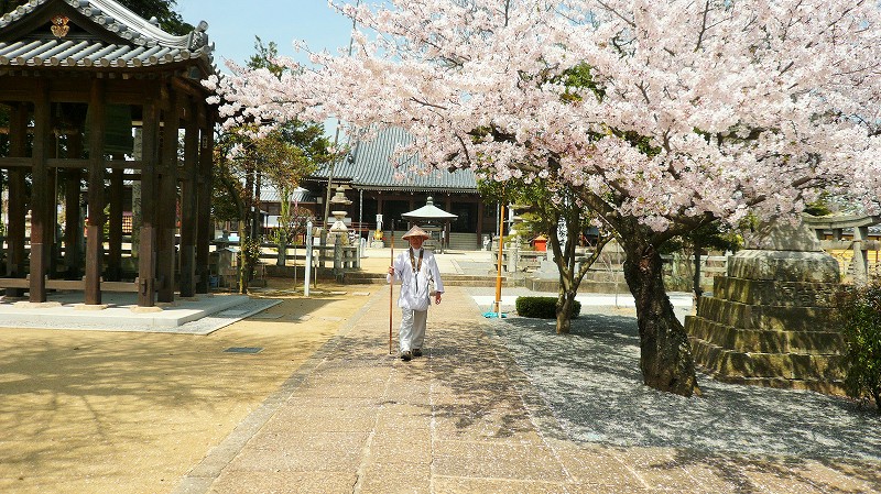 f:id:boianuf:20150525103102j:image